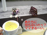 07101314.CIMG7854-1.jpg