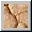 Dried mud