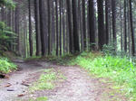 07c4c725.jpg