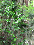 e0a6003c.jpg