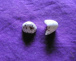 63aa053a.jpg