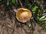 6c2a4571.jpg