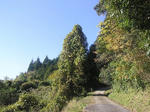 3777b127.jpg