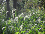 96d2635f.jpg