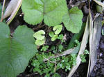 cd6d5230.jpg