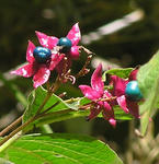 2f69c560.jpg