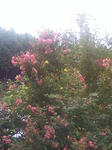 Image363.jpg