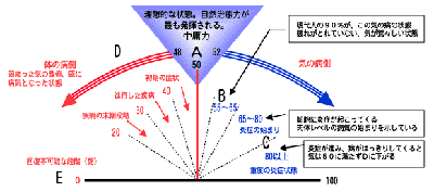 エイトスターダイヤモンドを身につけて２２年 アレックスの日々想うこと
