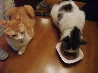 ぴぴ＆ヤンチャ