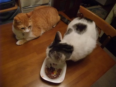 ぴぴ＆ヤンチャ