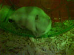 DSC00063.jpg