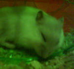 DSC00064.jpg