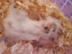 DSC00272.JPG