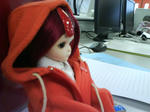 DSC00370.JPG