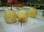 DSC00320.JPG