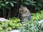 DSC00467.JPG