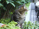 DSC00468.JPG
