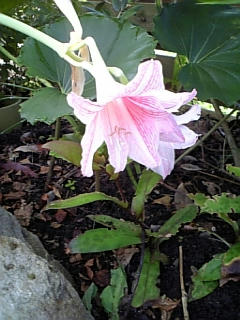 080922_071715.jpg