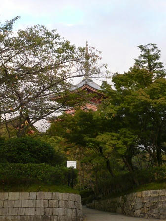 P1030124.JPG