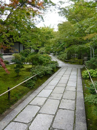 P1030149.JPG