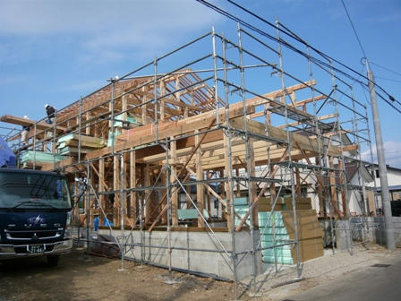 2008.11.21.JPG