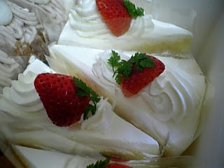 081129_131634.jpg
