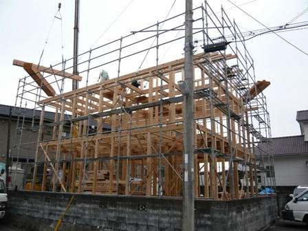 2009.1.8.JPG