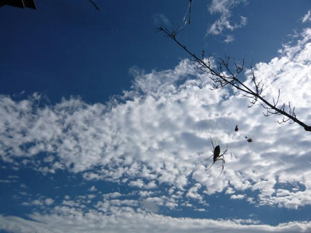 P1020035.JPG