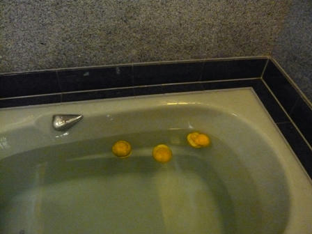 P1020231.JPG