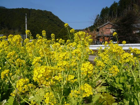 P1020422.JPG