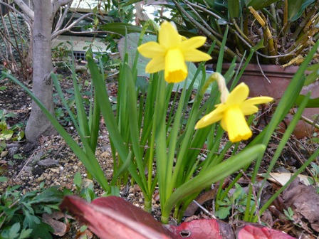 P1020633.JPG