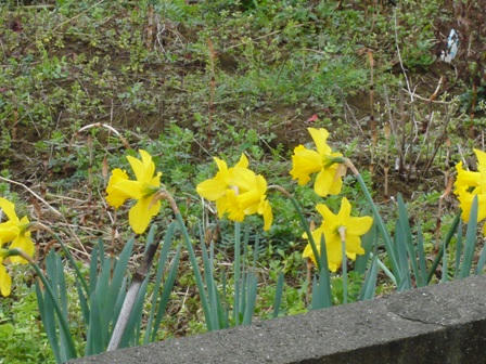 P1020757.JPG