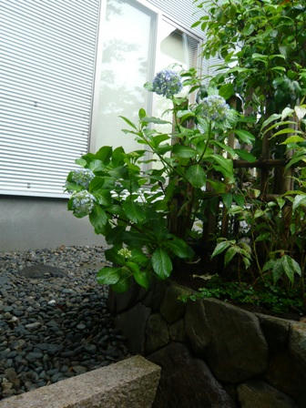 P1030403.JPG