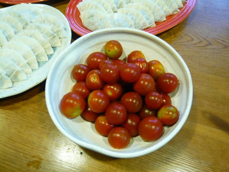 P1030414.JPG