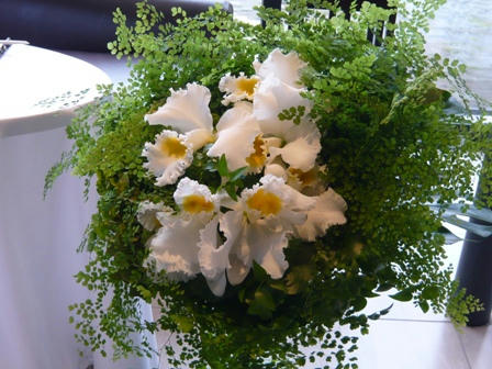 P1050363.JPG