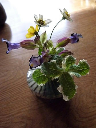 P1000288.JPG