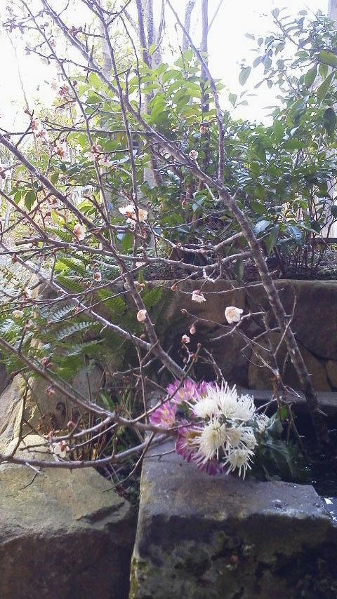 2011020713090000.jpg