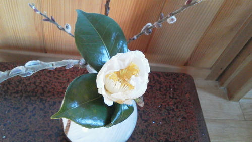 2011021212510000.jpg
