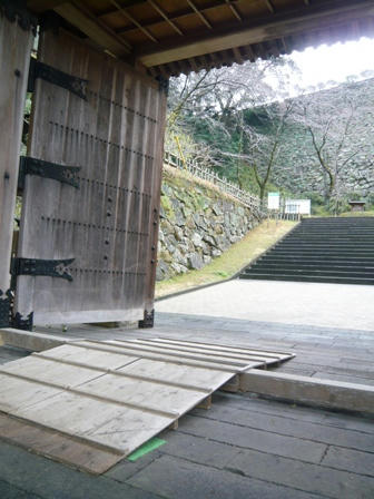 P1080494.JPG