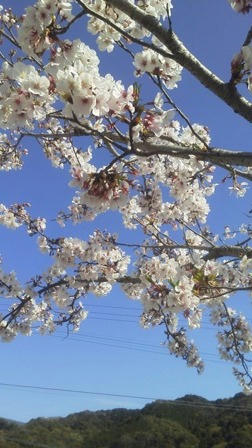 2011040415280002.jpg