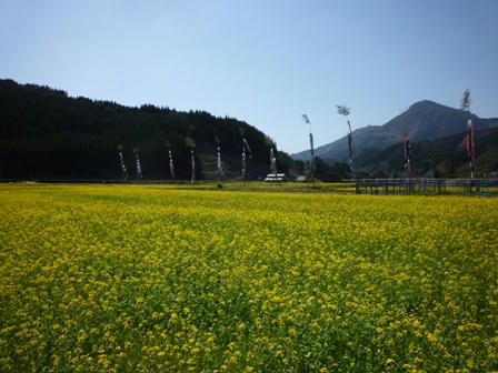 P1010834.JPG