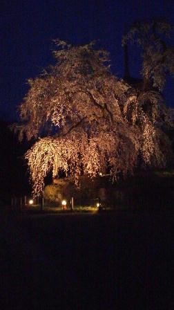 2011041019090000.jpg