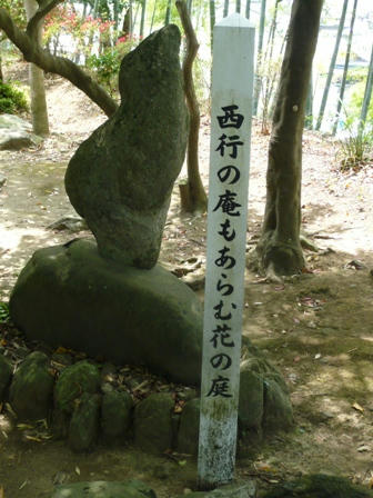 P1080663.JPG