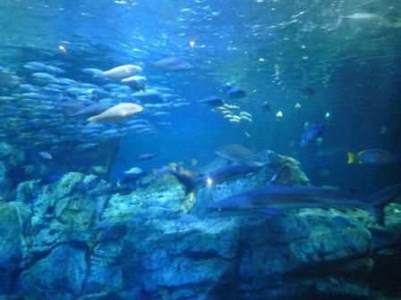 P1000840.JPG