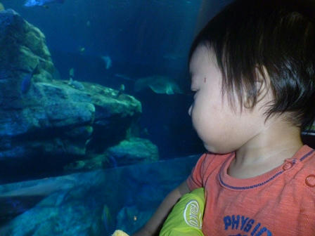P1000843.JPG