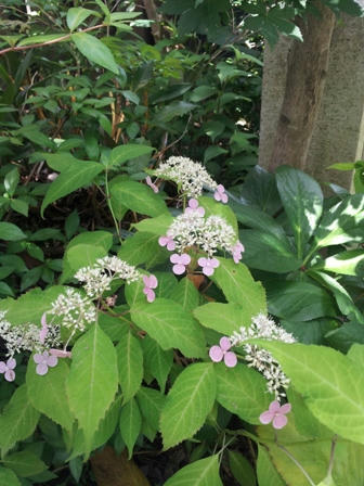 20120610_114039.jpg