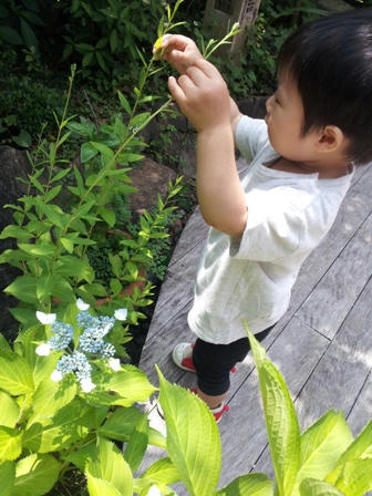 20120610_114228.jpg