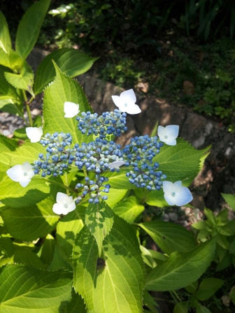 20120610_114400.jpg