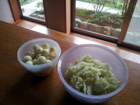 20120620_125109.jpg