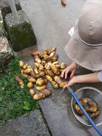 20120613_104849.jpg